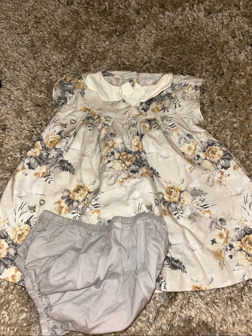 Janie and Jack Cream Floral Collar Dress with Bloomers - Yellow & Gray